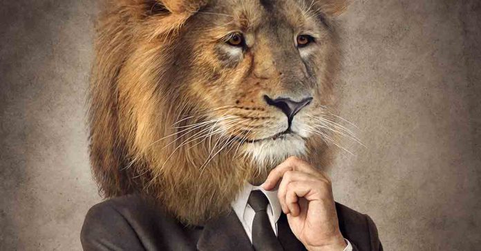 empréstimo consginado