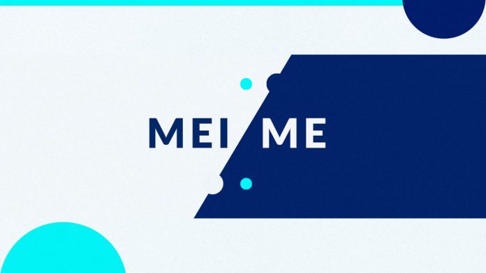 MEI e ME