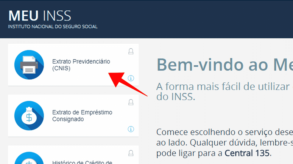 MEU INSS: saiba consultar extrato de contribuições pelo CPF👎 Explore o ...