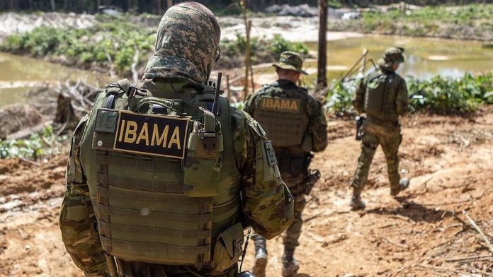 Ibama abre vagas de emprego para nível técnico com salário de R$ 4.063,34