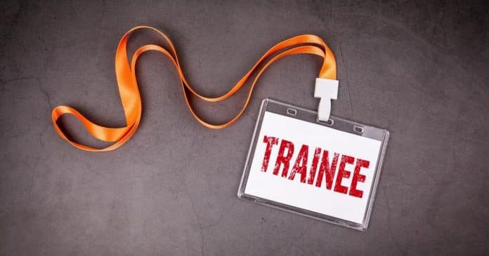 Empresas abrem vagas de Trainee, veja quais são elas!