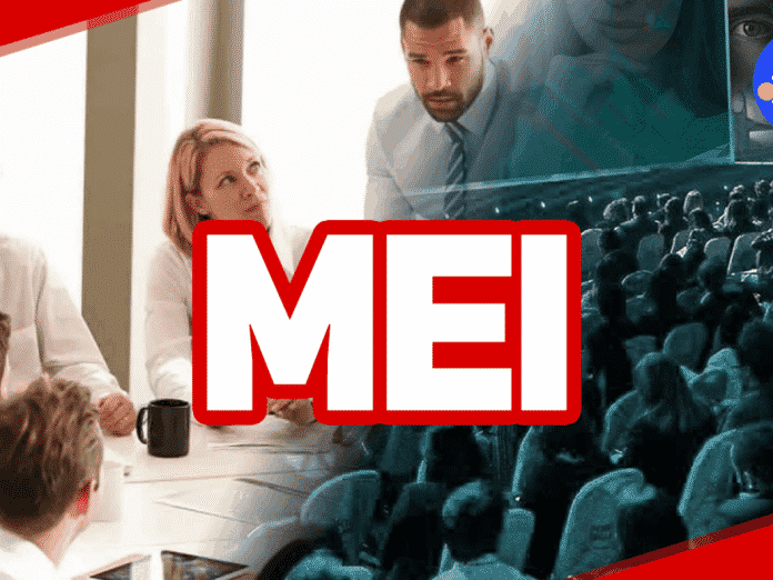 MEI, Declaração Anual, Detalhes, 2022, 2022