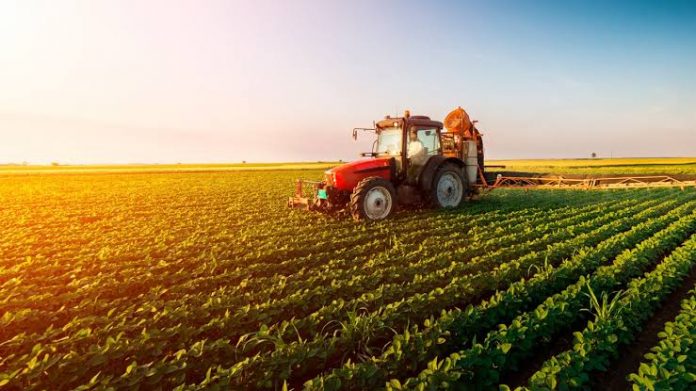 Como comprovar o tempo de atividade rural para o INSS?