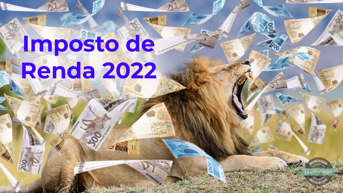 Como declarar ações no Imposto de Renda?
