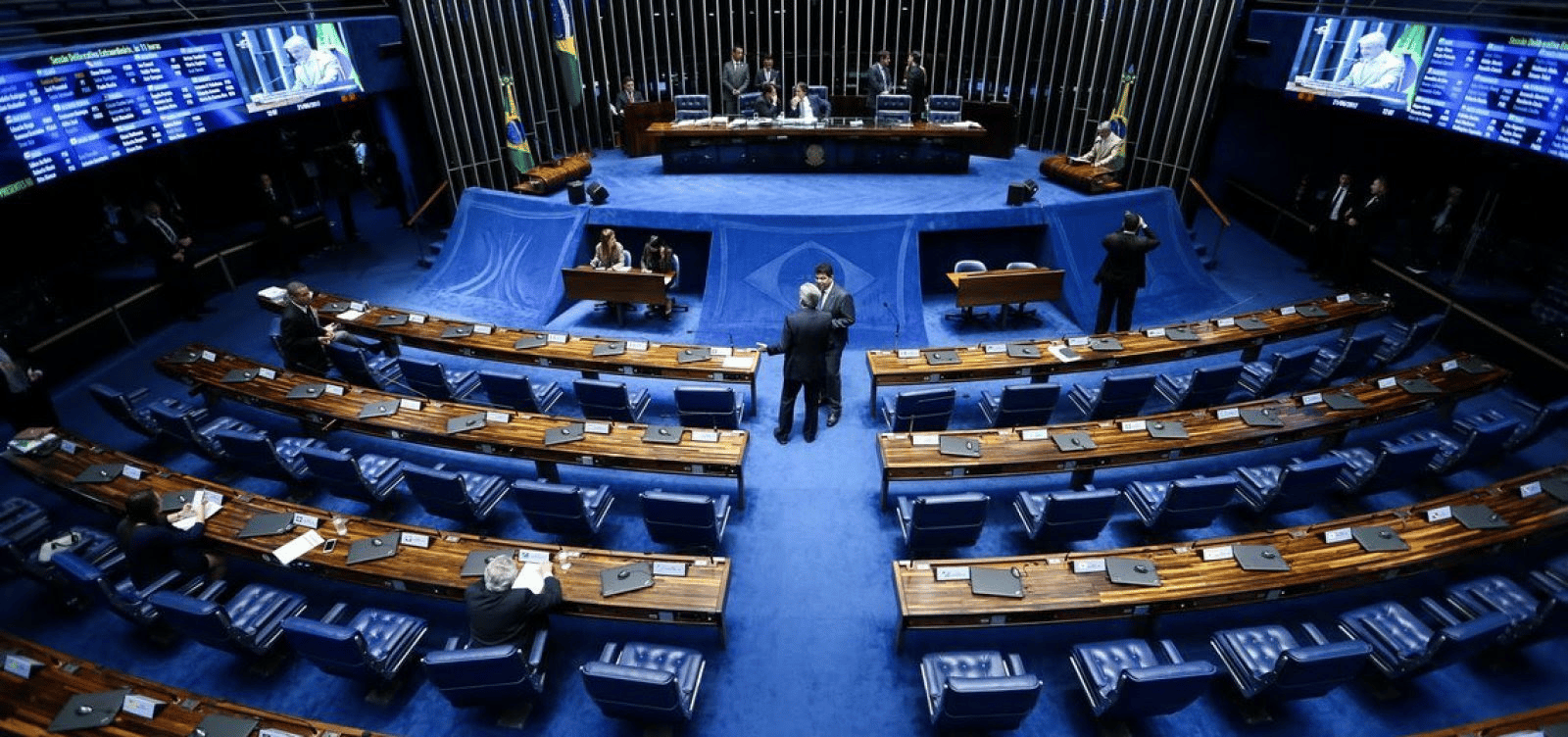 Auxílio Brasil, Senado