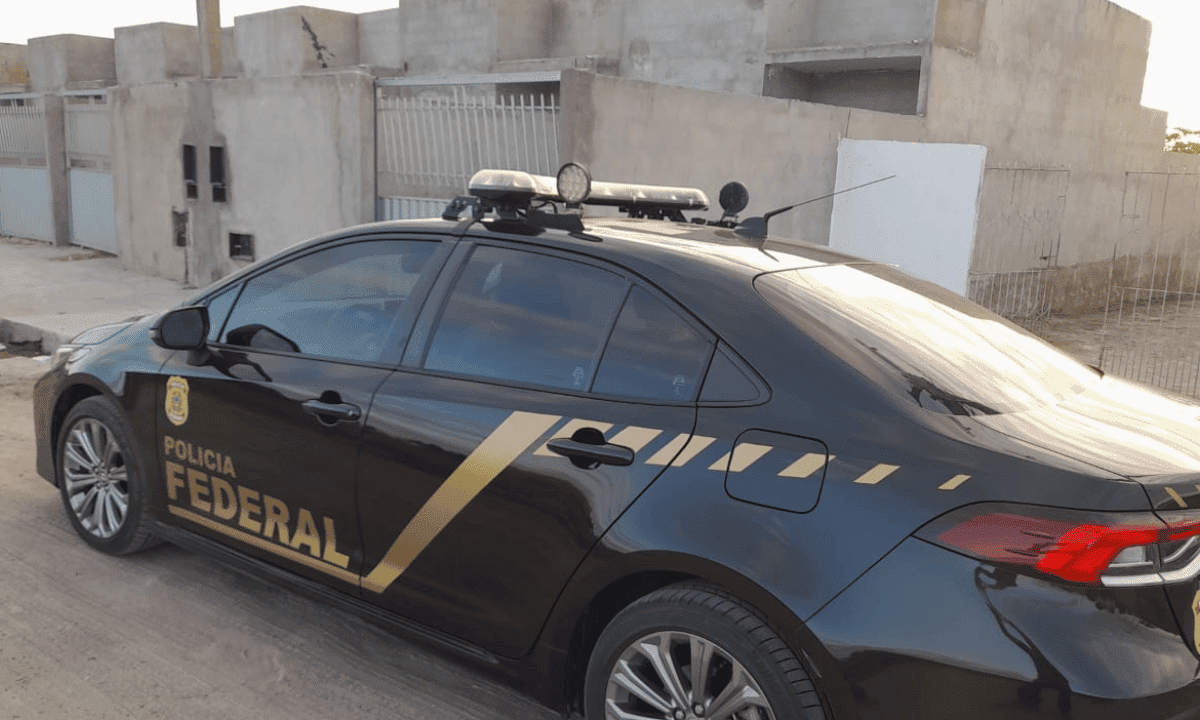 Auxílio Emergencial, Fraudes E PF