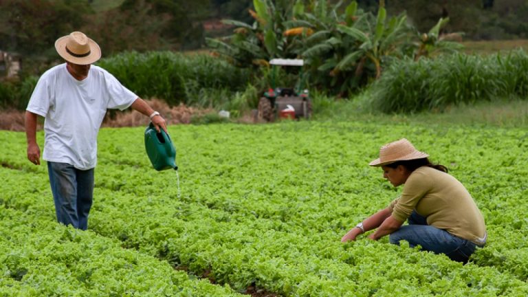 Desenrola rural: programa poderá ter novo foco em breve