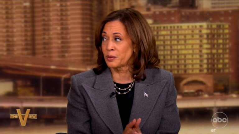 Kamala Harris promete elevar salário mínimo dos EUA se eleita em novembro