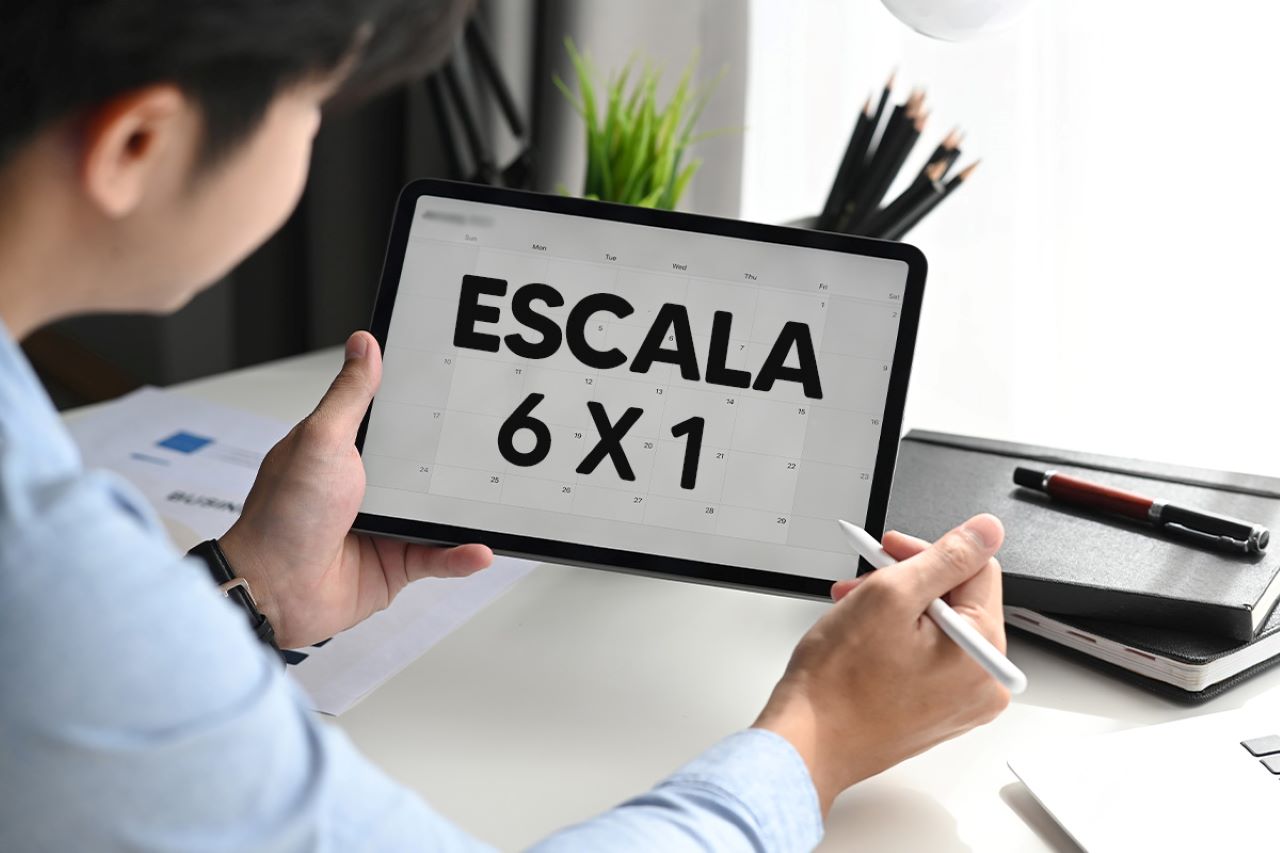 Escala 6X1